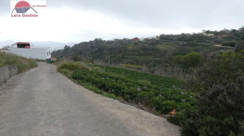 Las Palmas - Vega de San Mateo - 3000m2