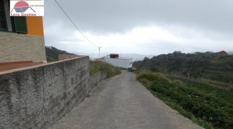 Las Palmas - Vega de San Mateo - 3000m2