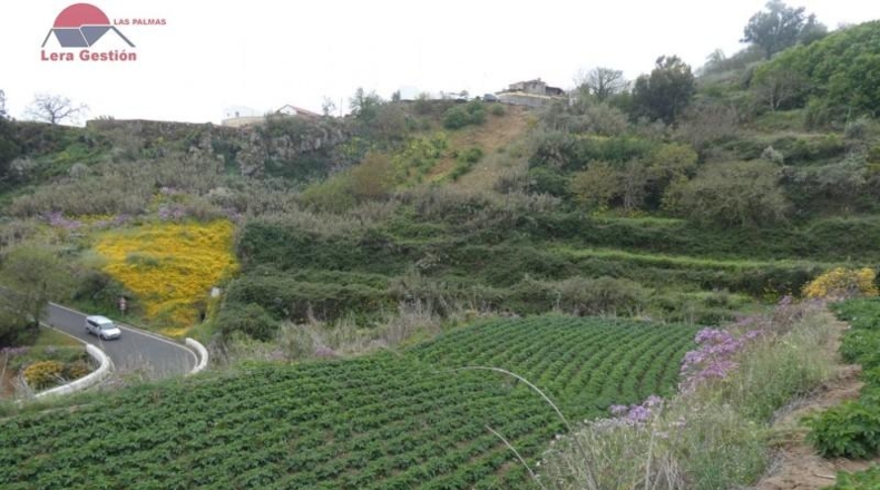 Las Palmas - Vega de San Mateo - 3000m2