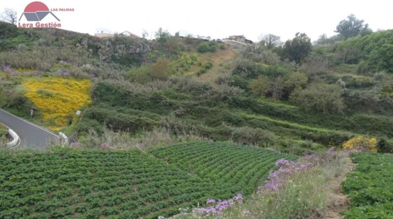 Las Palmas - Vega de San Mateo - 3000m2