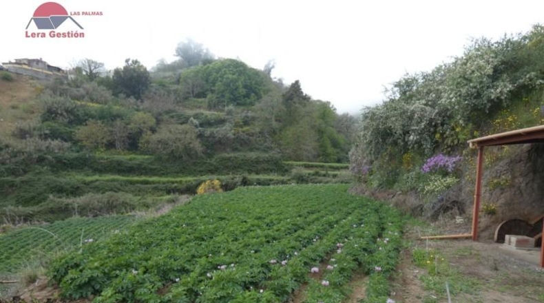 Las Palmas - Vega de San Mateo - 3000m2
