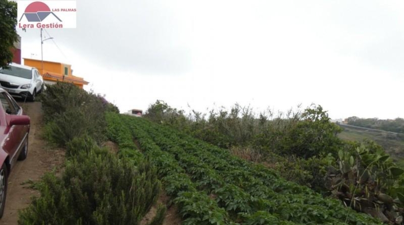 Las Palmas - Vega de San Mateo - 3000m2
