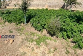 Foto 9