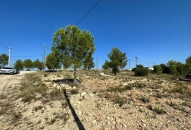 Foto 10