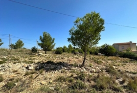 Foto 7