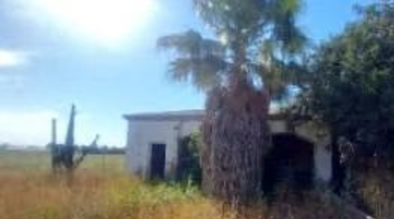 Sevilla - Los Palacios y Villafranca - 5947m2