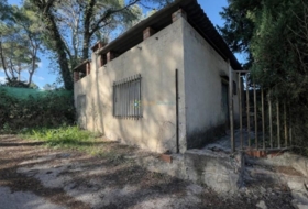 Foto 13