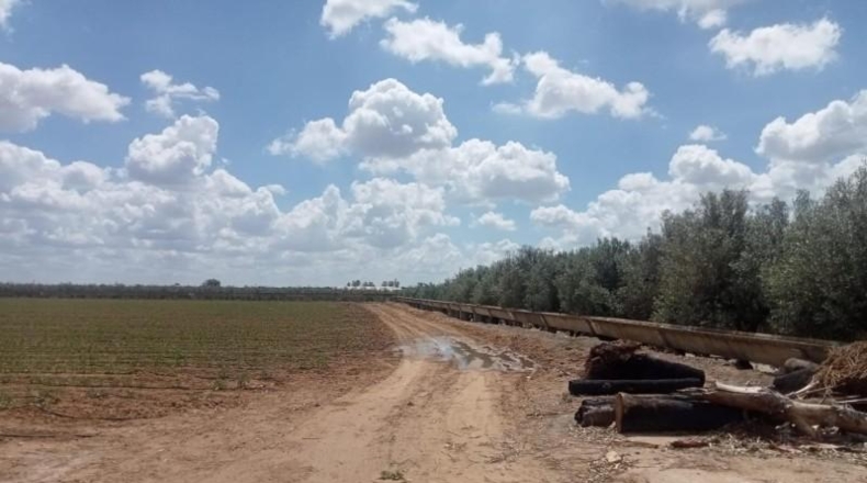 Seville - Dos Hermanas - 17600m2