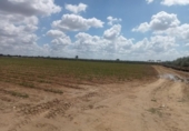 Non-developable land for sale on España, Dos Hermanas, ref: TR408472 photo