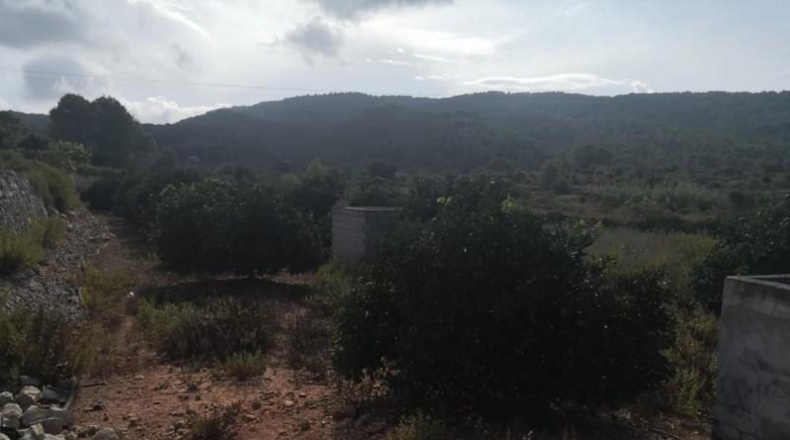 Valencia - Villalonga - 13500m2