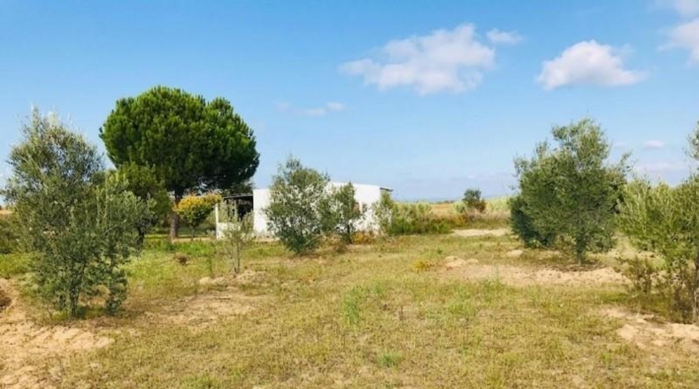 Huelva - Bollullos Par del Condado - 17052m2