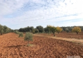 Xalet independent amb terreny en venda a la España, Bollullos Par del Condado, ref.: TR411872 foto
