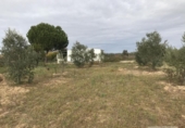 Xalet independent amb terreny en venda a la España, Bollullos Par del Condado, ref.: TR411872 foto