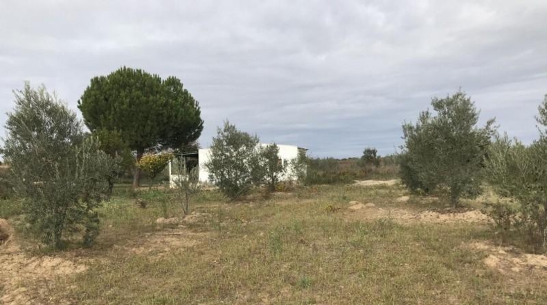 Huelva - Bollullos Par del Condado - 17052m2