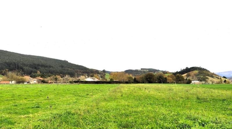 Jaén - Jaén - 2481m2