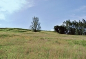 Загородный дом с участком на продажу в городе San Martín de Villafufre Фото