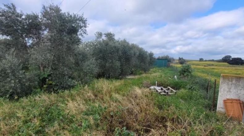 Córdoba - Эль-Висо - 57m2