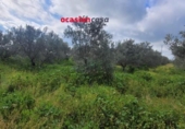 Detached villa with land for sale on España, El Viso, ref: TR300567 photo