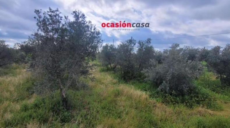 Córdoba - Эль-Висо - 57m2