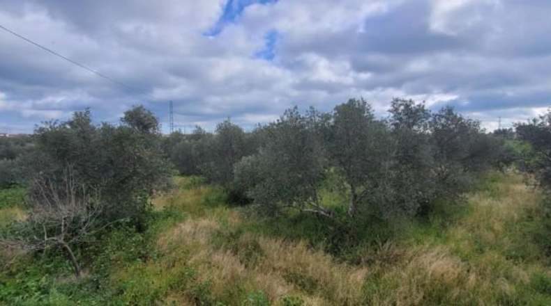 Córdoba - Эль-Висо - 57m2