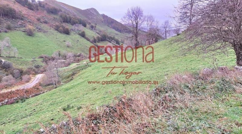 Cantabria - Veguilla - 120m2