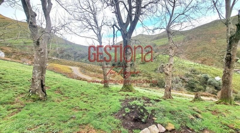 Cantabria - Veguilla - 120m2