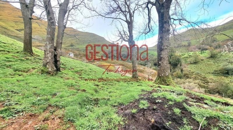 Cantabria - Veguilla - 120m2
