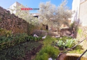 Casa de pueblo en venta en la España, Villanueva de Córdoba, ref: TR287413 foto
