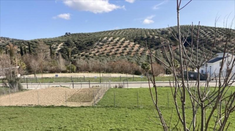 Córdoba - Rute - 360m2