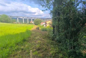 Foto 11