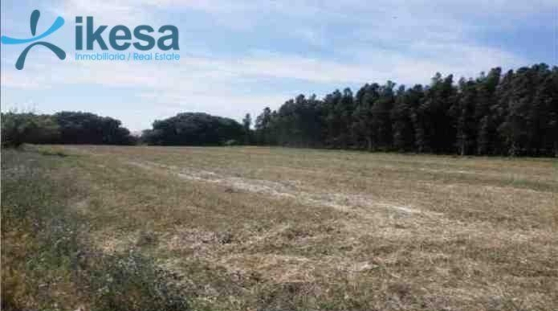 Huelva - Lepe - 8052m2
