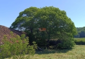 Suelo urbano en venta en la España, Monterroso, ref: TR313225 foto