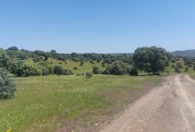 Foto 15