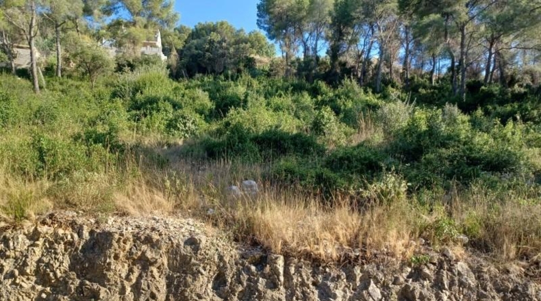 Barcelona - la Gornal - 1m2