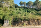 Suelo urbano en venta en la España, Castellet, ref: TR336820 foto