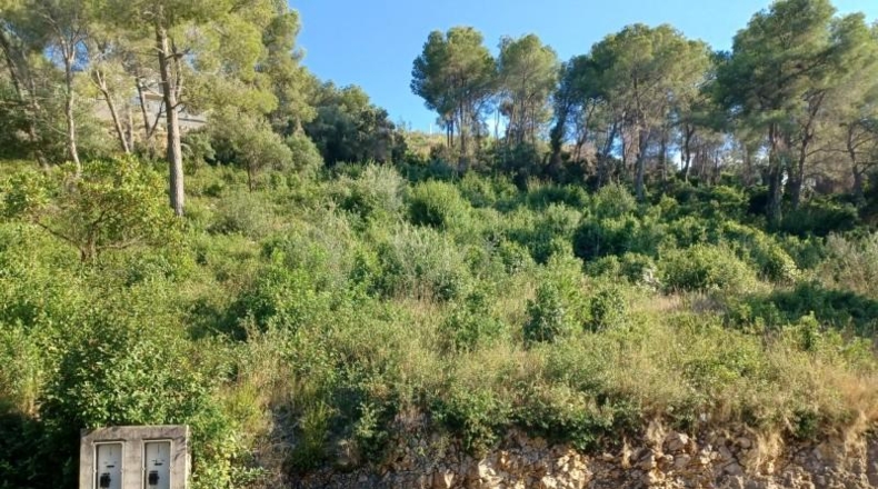 Barcelona - la Gornal - 1m2