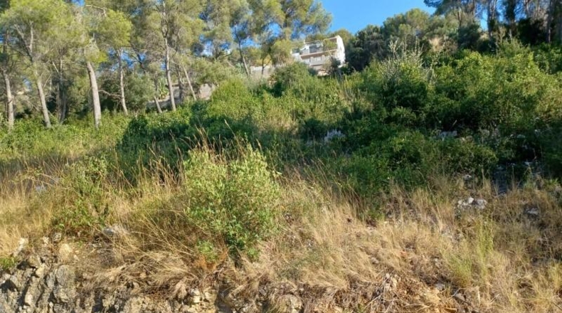 Barcelona - la Gornal - 1m2