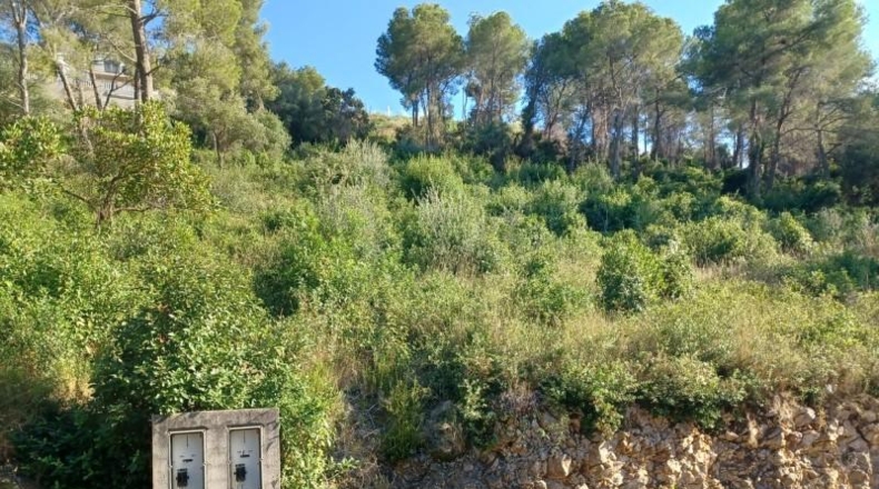 Barcelona - la Gornal - 1m2