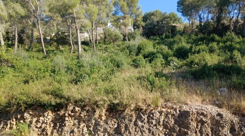 Barcelona - la Gornal - 1m2