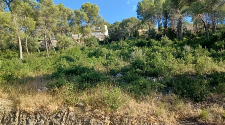 Barcelona - la Gornal - 1m2