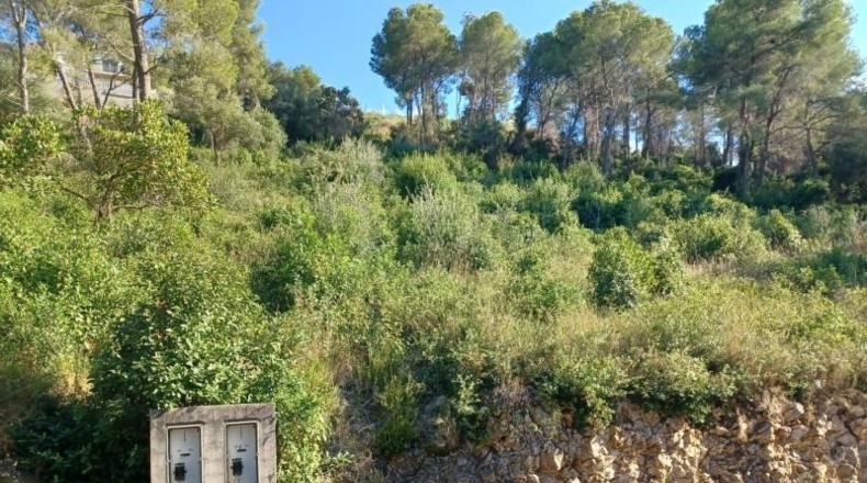 Barcelona - la Gornal - 1m2