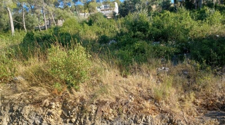 Barcelona - la Gornal - 1m2