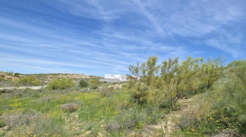 Granada - Dílar - 500m2