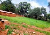 Terreno no urbanizable en venta en la España, Aroche, ref: TR120937 foto