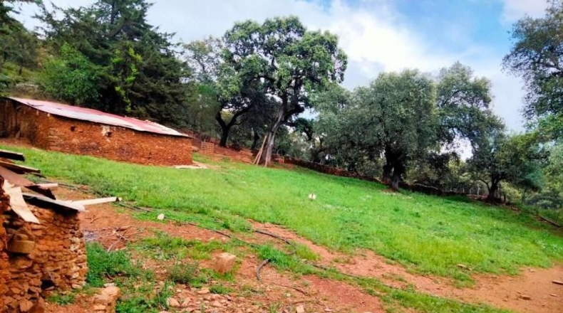Huelva - Aroche - 45978m2