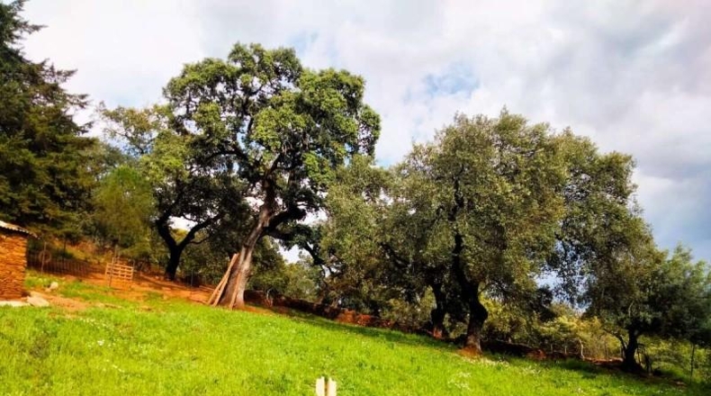 Huelva - Aroche - 45978m2
