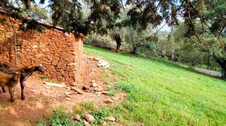 Huelva - Aroche - 45978m2