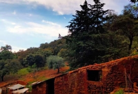 Foto 8