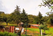 Terreno no urbanizable en venta en la España, Aroche, ref: TR120937 foto