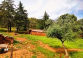 Terreno no urbanizable en venta en la España, Aroche, ref: TR120937 foto